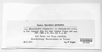Image of Monochaetia compta